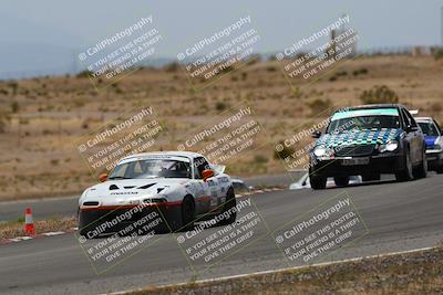 media/May-03-2025-Lucky Dog Racing (Sat) [[206de64b9d]]/Turn 6 (150pm-230pm)/